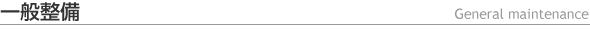 ʐ